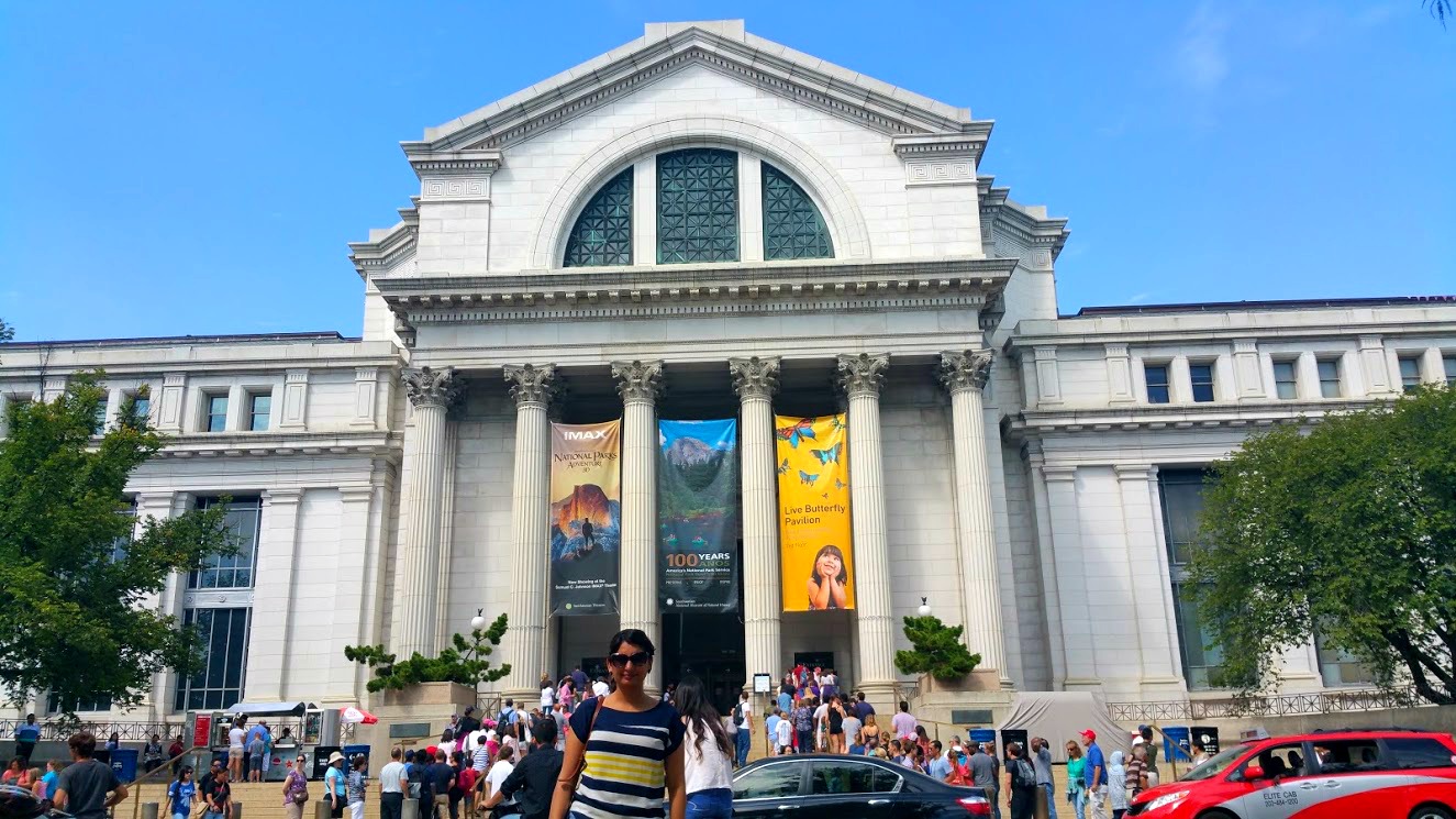 how to visit dc museums